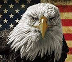 Pompano Beach Auto Accident Injury Chiropractic in Pompano Beach